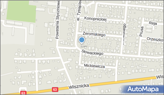 Mańko Jerzy, ul. Juliusza Słowackiego 1, Radzyń Podlaski 21-300 - Przedsiębiorstwo, Firma, NIP: 5381340935