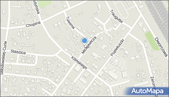 7731019503, Mapa -Trans Mariusz Pająk 