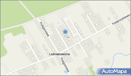 Mape, Kasprzykiewicza 149, Leśniakowizna 05-200 - Przedsiębiorstwo, Firma, numer telefonu, NIP: 1251408058