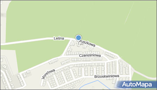 7871916183, Marcin Dolata Logopus 