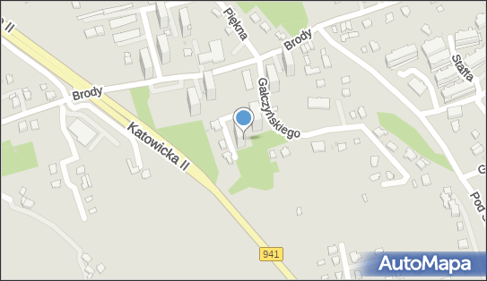 5482340701, Marcin Drzewicki 