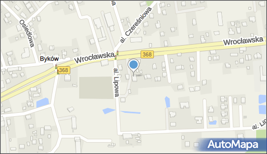 8942485384, Marcin Jankowski Yankin 