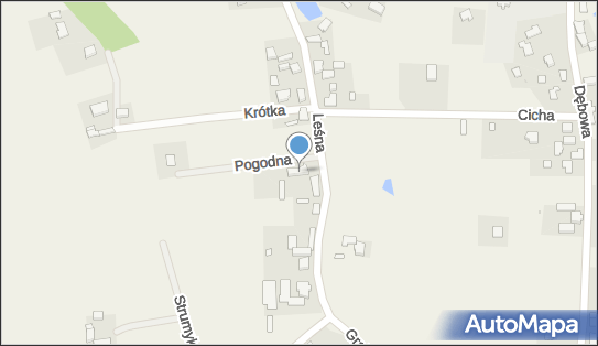 Marcin Koperkiewicz AutoFilip, Leśna 62, Bierkowo 76-200 - Przedsiębiorstwo, Firma, NIP: 8392864738
