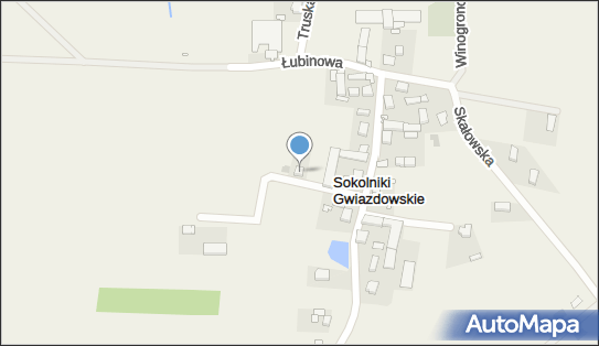 7821549736, Marcin Matuszak Marceli 