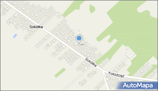 Marcin Próchno M Auto, Sokółka 54, Sokółka 07-140 - Przedsiębiorstwo, Firma, NIP: 8241560064