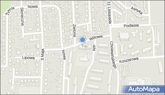Marcin Śliwiński, Willowa 2, Rypin 87-500 - Przedsiębiorstwo, Firma, NIP: 8921379441