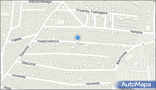Marcin Szostek Transfer, ul. Jana Kasprowicza 20 43-502 - Przedsiębiorstwo, Firma, NIP: 6521671556