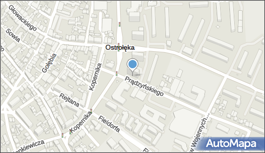 Marcin Szurnicki, ul. gen. Ignacego Prądzyńskiego 1, Ostrołęka 07-410 - Przedsiębiorstwo, Firma, NIP: 7582247468