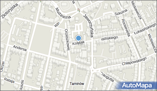 021036421, Marcin Zaborowski 