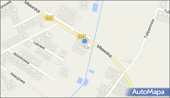 Marconi Tadeusz Orzoł, ul. Mławska 13, Chruszczewo 06-400 - Przedsiębiorstwo, Firma, NIP: 5661005770