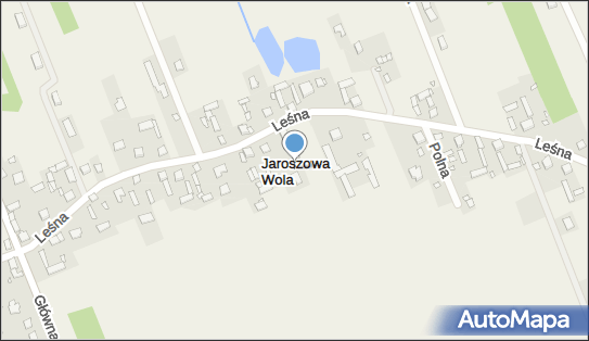 1230054425, Marek Dobrowolski Bramis 