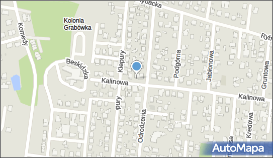 Marek Grzyb Specjalistyczny Gabinet Lekarski, Kalinowa 36 42-221 - Przedsiębiorstwo, Firma, NIP: 9490574574