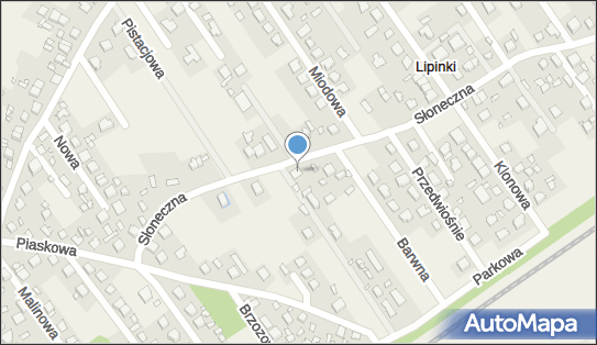 1250555863, Przewozy Autokarowe Michalski Marek 