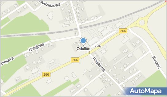 Marek Niemczyk - Działalność Gospodarcza, Odolion N/N, Odolion 87-700 - Przedsiębiorstwo, Firma, NIP: 8911014927