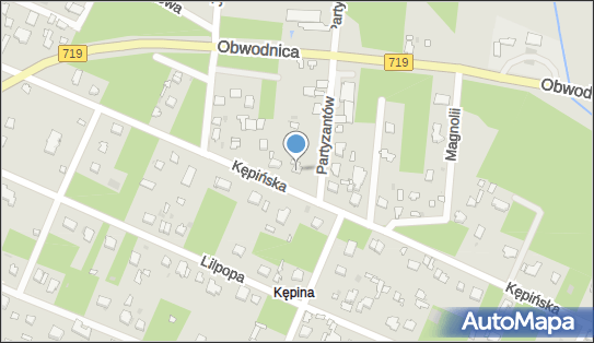 Marek Szostak, Kępińska 53, Brwinów 05-840 - Przedsiębiorstwo, Firma, NIP: 5341236634
