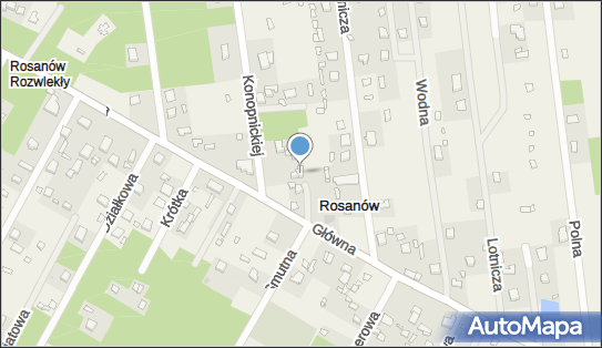 Maria Gwarczyk, ul. Marii Konopnickiej 2, Rosanów 95-100 - Przedsiębiorstwo, Firma, NIP: 7321188608