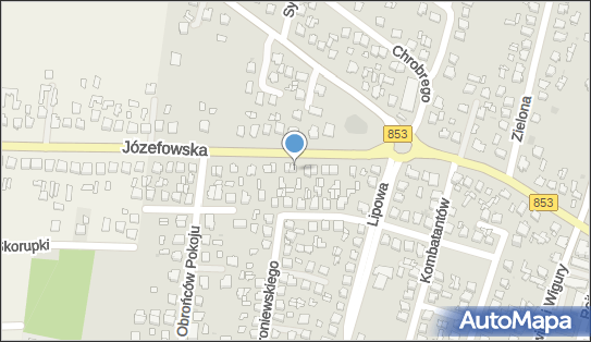 Maria Kuryj - Działalność Gospodarcza, Józefowska 15 22-600 - Przedsiębiorstwo, Firma, NIP: 9211361538