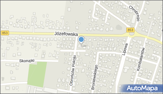 Maria Nowak - Działalność Gospodarcza, Tomaszów Lubelski 22-600 - Przedsiębiorstwo, Firma, NIP: 9211197168