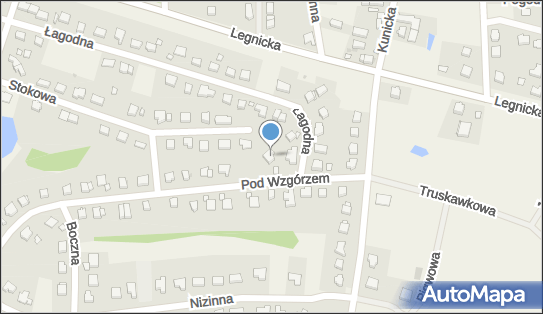 Maria Wasilewska-Saleh, ul. Pod Wzgórzem 8, Ziemnice 59-216 - Przedsiębiorstwo, Firma, NIP: 6911042868