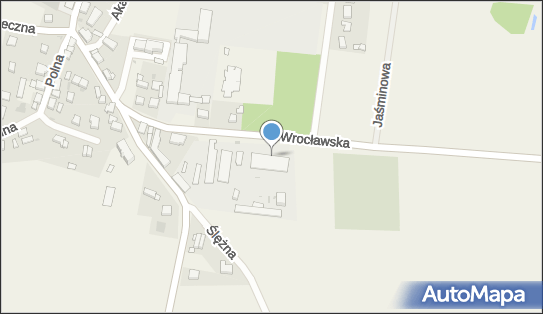 Maria Wicha Skład Ogólnorolny Hurt-Detal-Transport, Wrocławska 14 55-311 - Przedsiębiorstwo, Firma, NIP: 9131296508