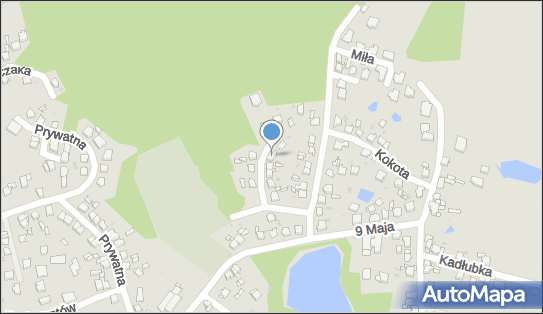 6451861061, Krok Marian 