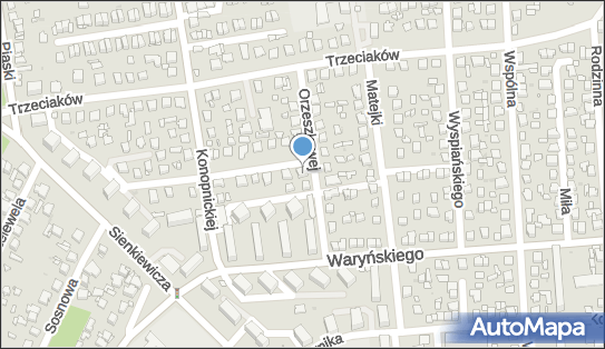 290978991, Mariposas Anna Wąsik-Ciecieląg 