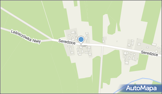 Mariusz Dąbrowski P.P.U.H.Drewlux, Seredzice 503, Seredzice 27-100 - Przedsiębiorstwo, Firma, NIP: 6611606806