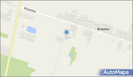 Mariusz Pęcherzewski - Działalność Gospodarcza, Brzeziny 2 A 99-210 - Przedsiębiorstwo, Firma, NIP: 6681373980