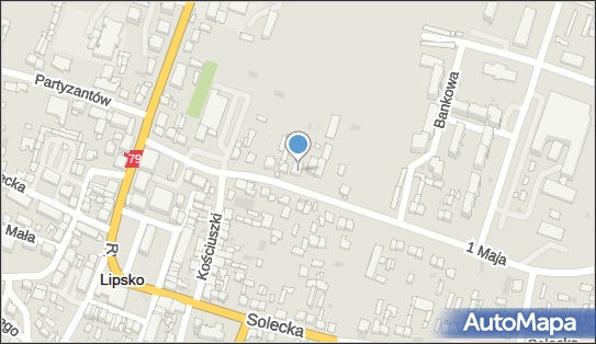 Market Dom Handlowy, 1 Maja 21, Lipsko 27-300 - Przedsiębiorstwo, Firma, NIP: 8111033455