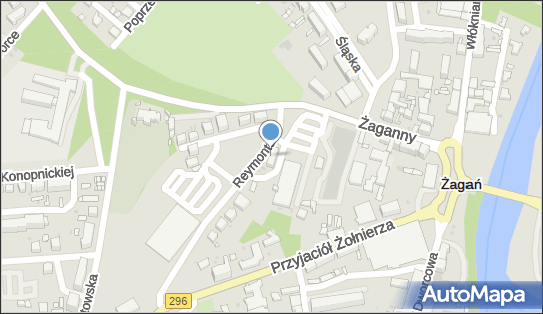 9241071259, Marketing-Handel-Usługi Regina Prisacari 