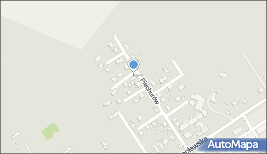 Marketing Małgorzata Sradomska, Piechurów 30, Kalisz 62-800 - Przedsiębiorstwo, Firma, NIP: 6182164465