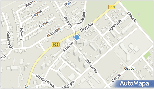 6390014354, Olszak Ewa, Marketing 