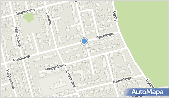 Markowska Jolanta Onyks, Konwaliowa 27, Toruń 87-100 - Przedsiębiorstwo, Firma, NIP: 8791146766