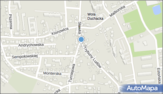 351236699, Marta Cora Firma Usługowo Handlowa 