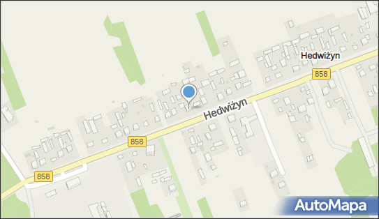 9182168134, Mateusz Chyl 