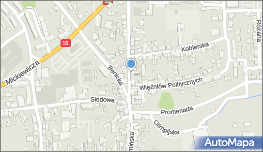 Mateusz Horyza, Koźmińska 34, Krotoszyn 63-700 - Przedsiębiorstwo, Firma, NIP: 6182062658
