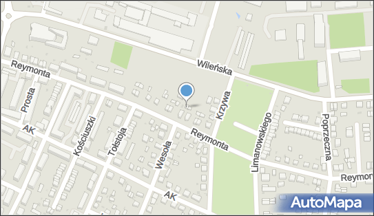 Mateusz Szczepaniak Rzeczoznawstwo Samochodowe, Oleśnica 56-400 - Przedsiębiorstwo, Firma, NIP: 9111871352