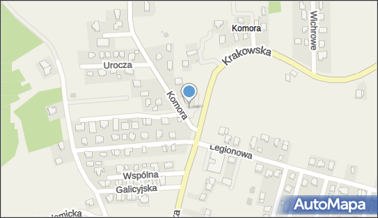 5130239162, Mateusz Wielecki 