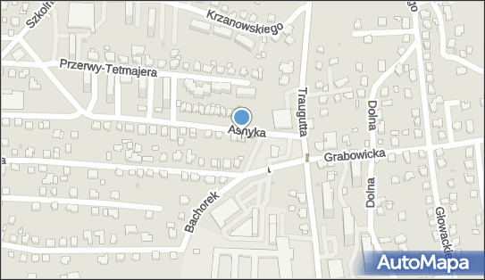 6521020161, Moto Usługi Stanisława Matlak 