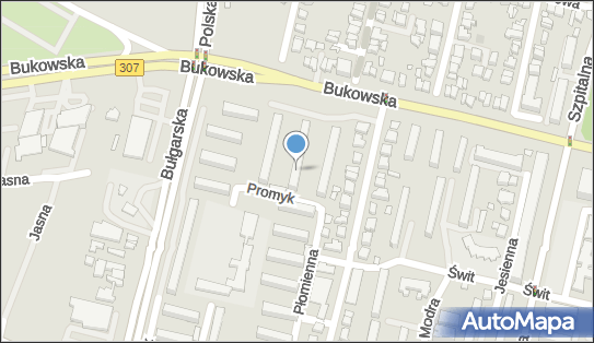 Matrix Przedsiębiorstwo Handlowo Usługowe Dyrak Ł Olejniczak K 60-398 - Przedsiębiorstwo, Firma, NIP: 7791965417