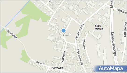 Max Trans Transport Spedycja, pl. Stare Miasto 12, Radom 26-600 - Przedsiębiorstwo, Firma, NIP: 7962751061