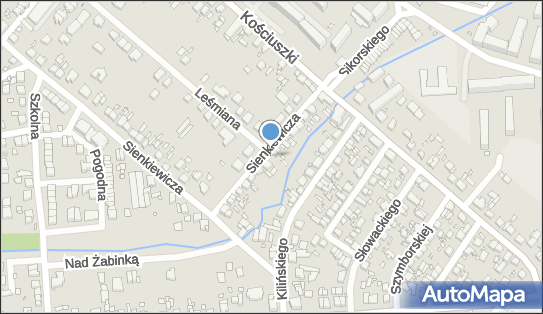 Maximus, ul. Henryka Sienkiewicza 17, Luboń 62-031 - Przedsiębiorstwo, Firma, NIP: 7771075347