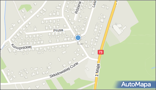Maxx-Serwis, Batalionów Chłopskich 7, Szczucin 33-230 - Przedsiębiorstwo, Firma, NIP: 6551933699