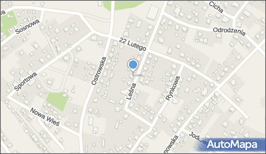 5551365651, Mayork Karol Mayer 