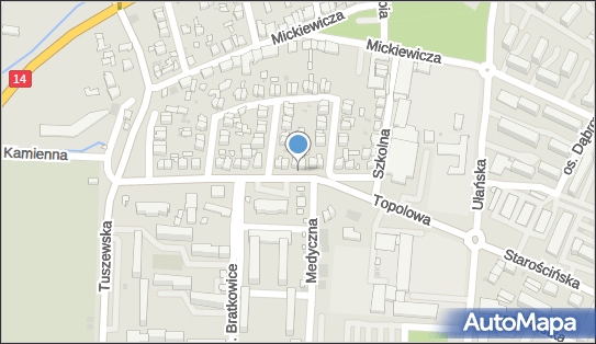 Mazwi Wiktor Mazurkiewicz, Topolowa 14, Łowicz 99-400 - Przedsiębiorstwo, Firma, NIP: 8341112649