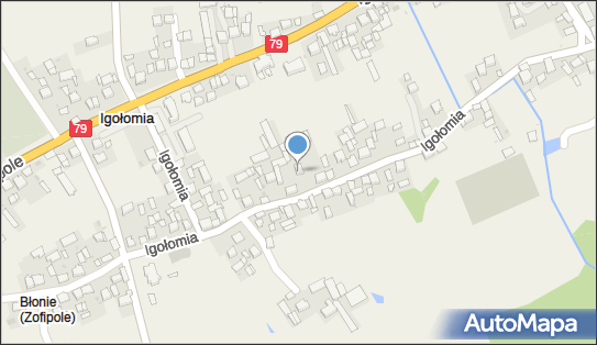 MD Speed Monika Wilkosz, Igołomia 89, Igołomia 32-125 - Przedsiębiorstwo, Firma, NIP: 6821725629