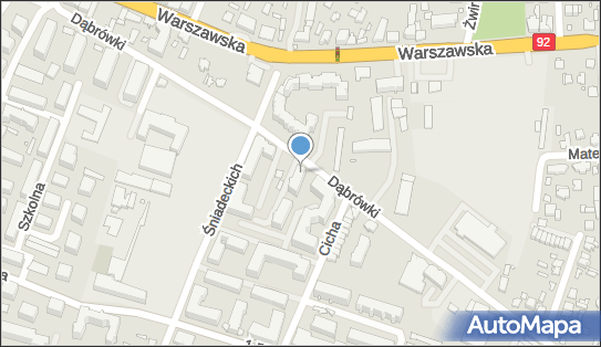 8221049049, MD-TRANS Mariusz Drzazga 