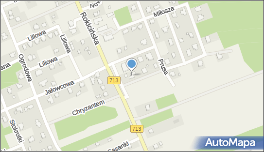 Mdachy Podlasin Michał Lewandowski Radosław, ul. Rokicińska 47 95-006 - Przedsiębiorstwo, Firma, NIP: 7282795941