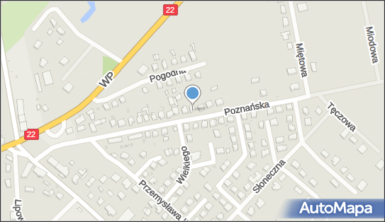 Mechanika i Elektromechanika Pojazdowa, Poznańska 33 66-500 - Przedsiębiorstwo, Firma, NIP: 5991894431