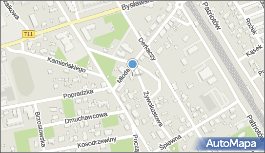 012285453, Piotr Nasierowski 